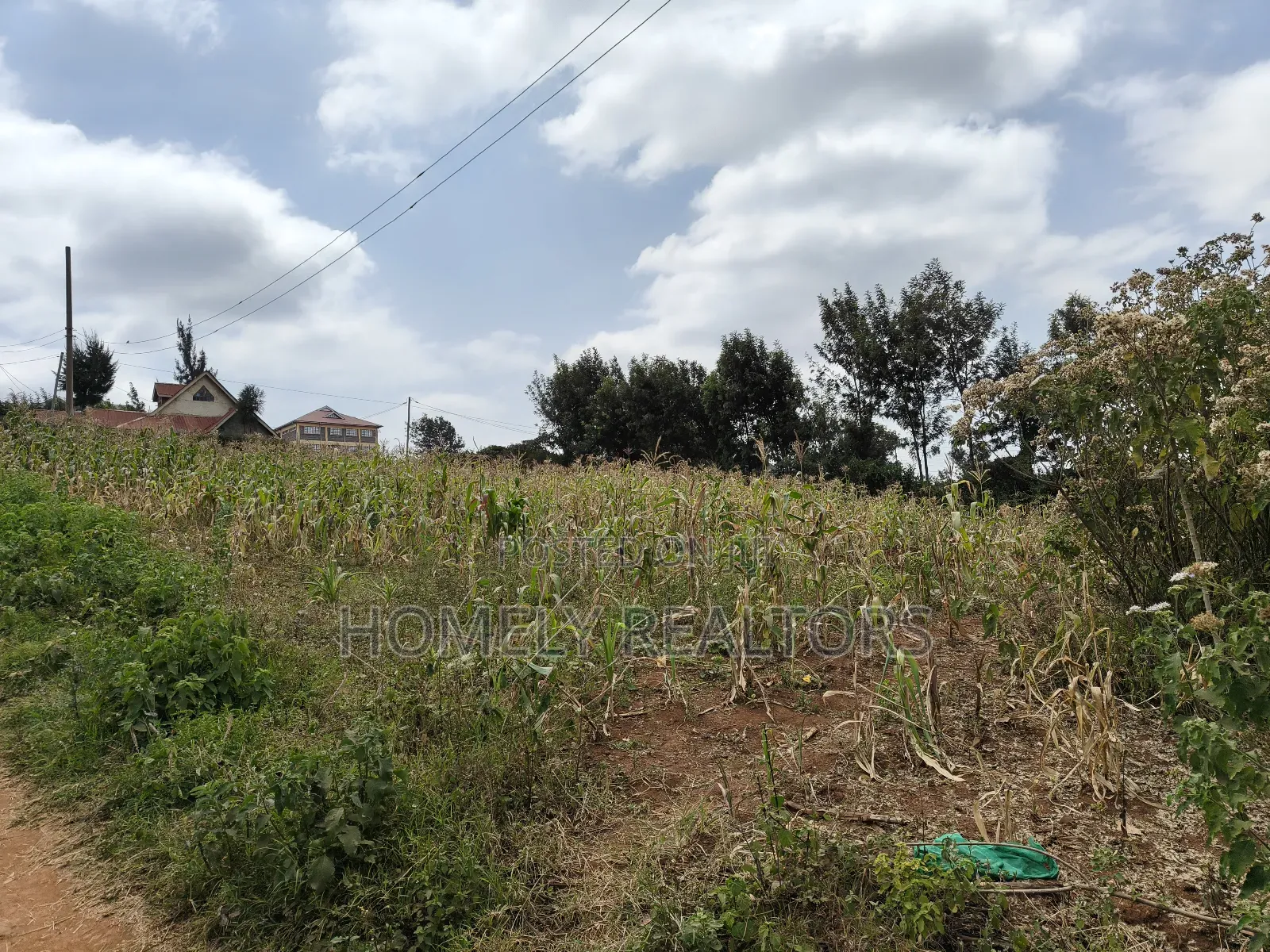 Half Acre Plot on Sale in Kibiku Touching Ngong-Suswa Road