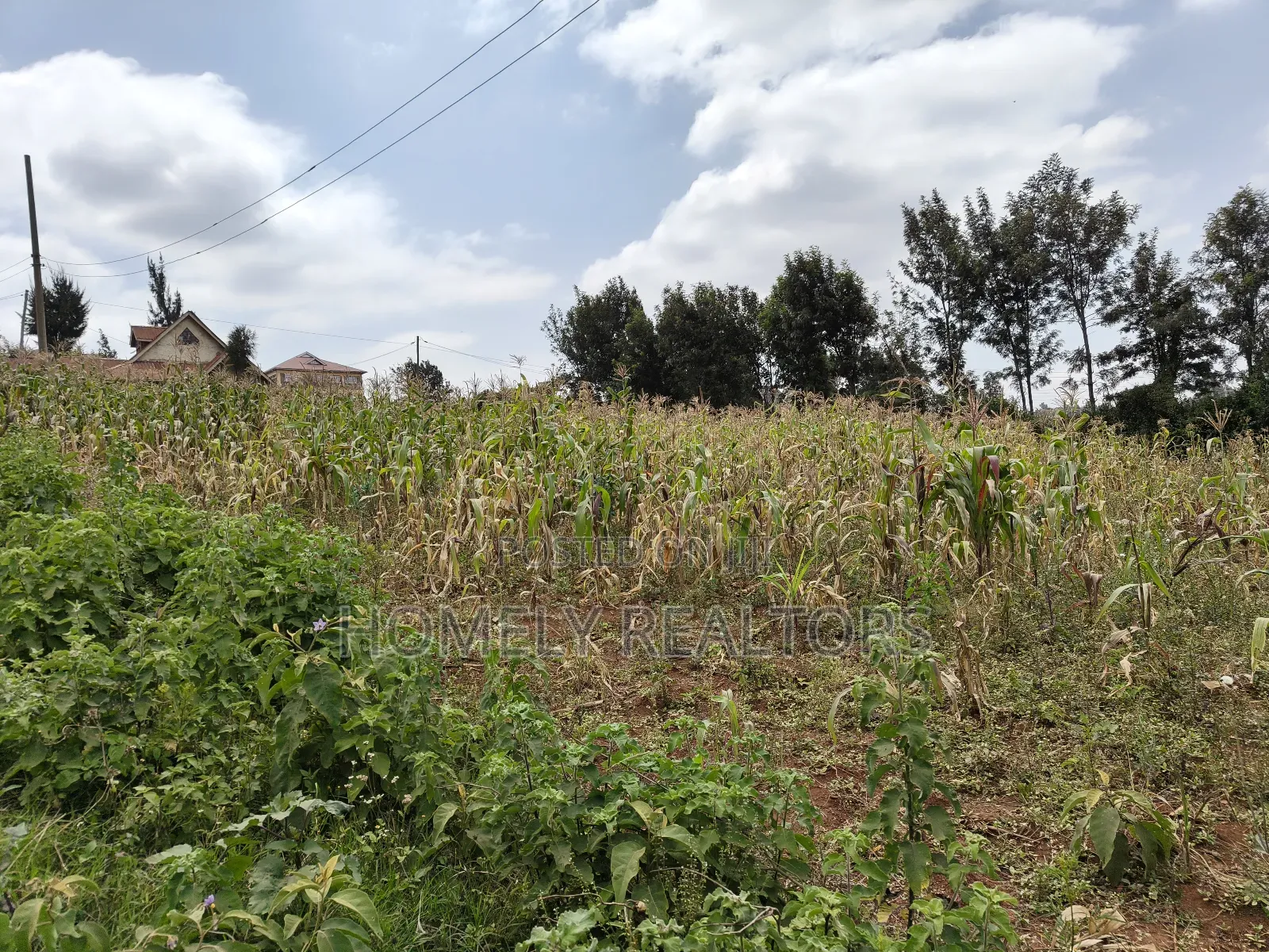 Half Acre Plot on Sale in Kibiku Touching Ngong-Suswa Road