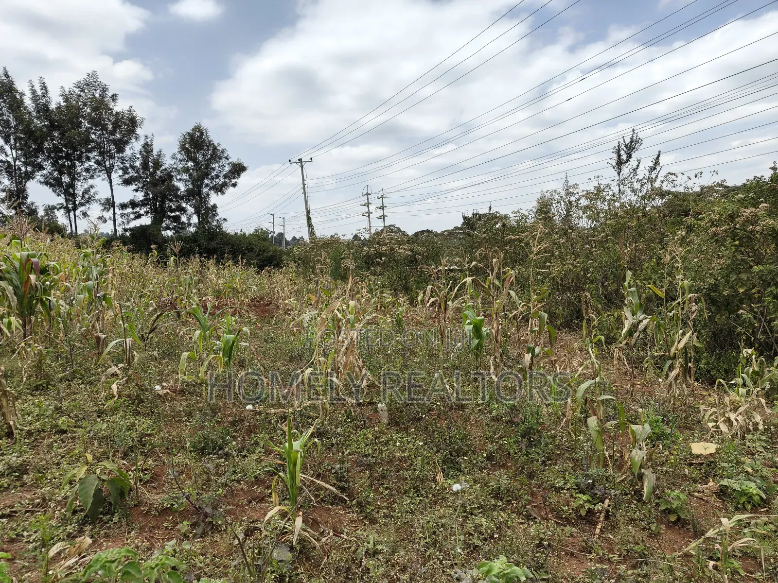 Half Acre Plot on Sale in Kibiku Touching Ngong-Suswa Road