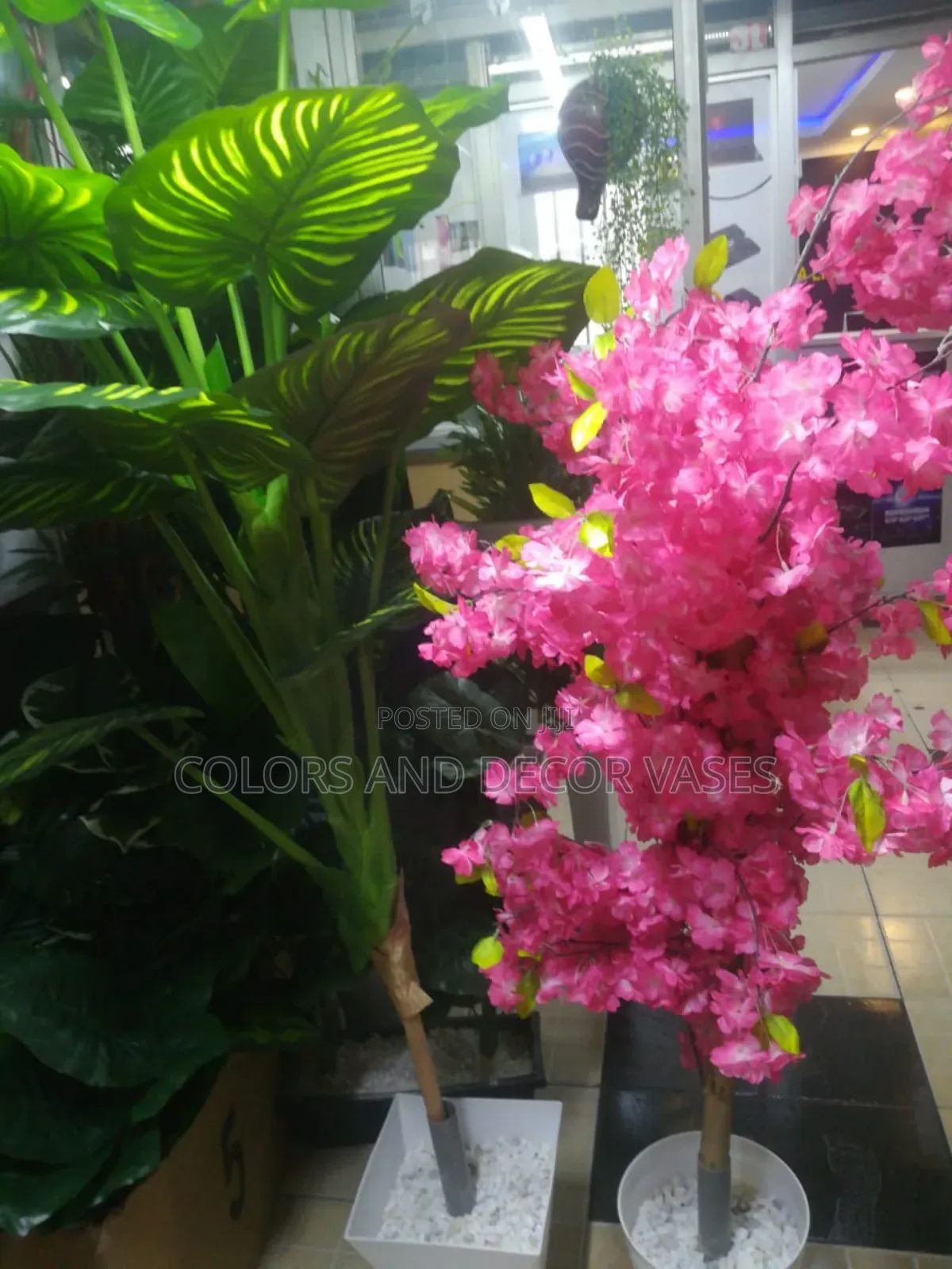 1.6m Long Plants Big With Vases