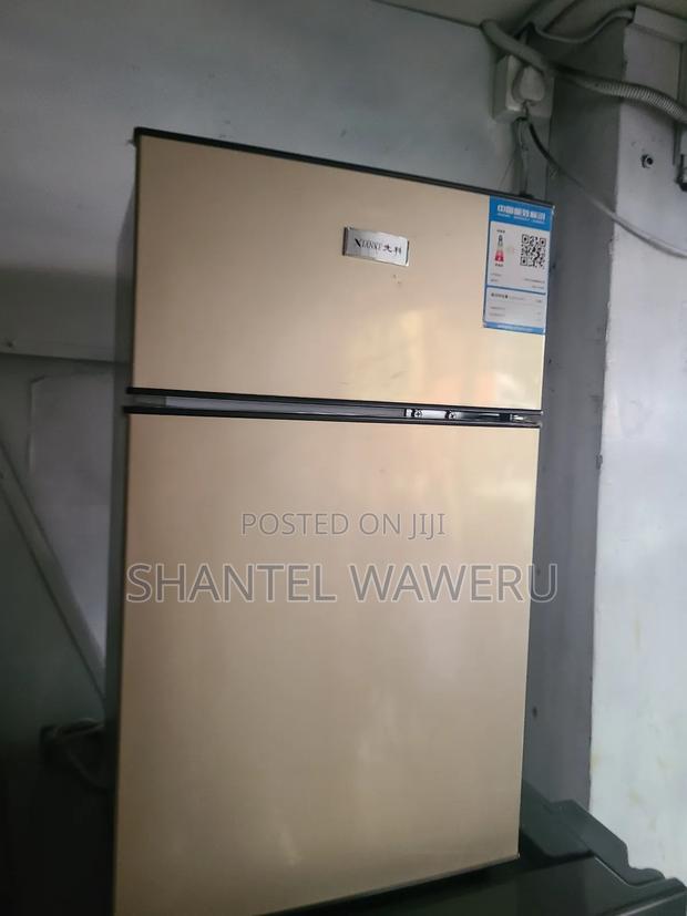 Niake Min Double Door Fridge