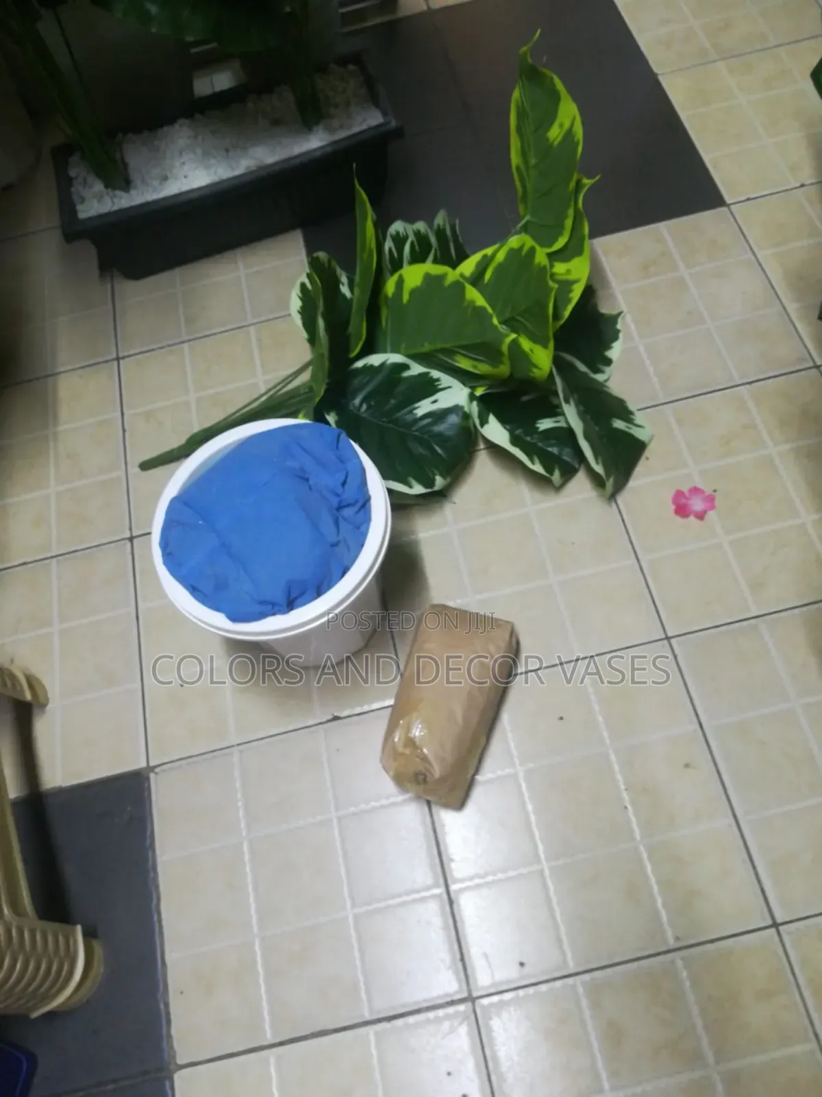 Lush Green Plant With Vase
