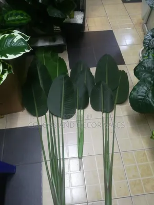 Banana Leaves 3 Sets