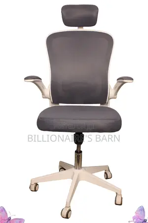 Office Chairs: White Study Mesh Office Chair