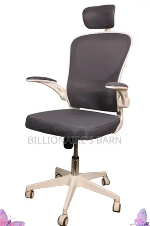 Office Chairs: White Study Mesh Office Chair