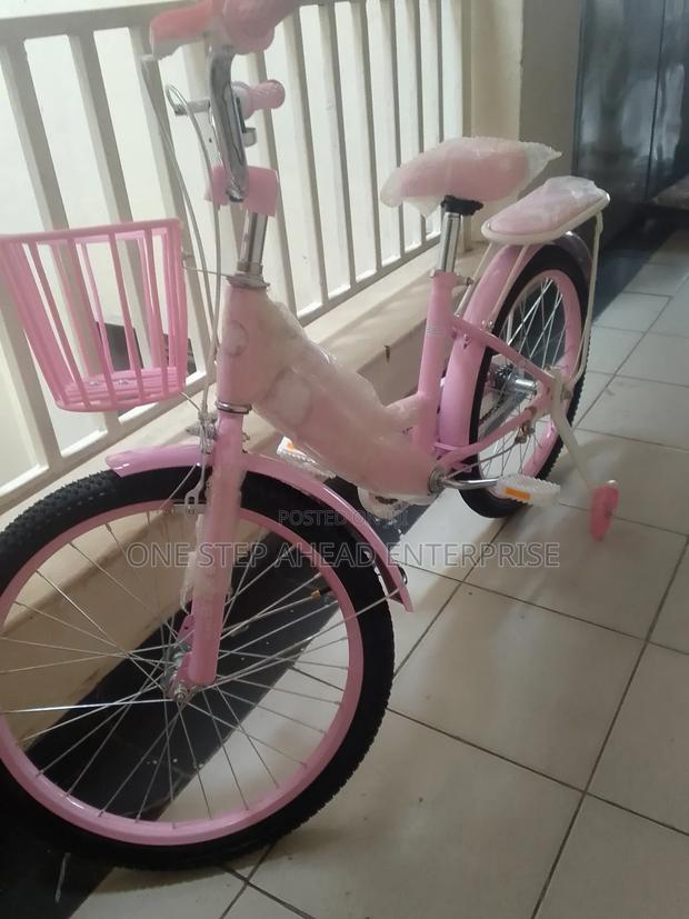 Affordable Size 20 Bike for Kids Girlish Design