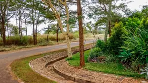 Prime Residential 1⁄4 Acre Plots for Sale in Thika Greens