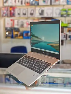 Laptop HP ProBook 450 G7 8GB Intel Core i5 HDD+SSD 1T