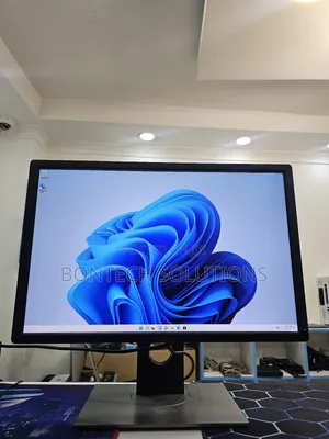 Dell 24 Inch Monitor