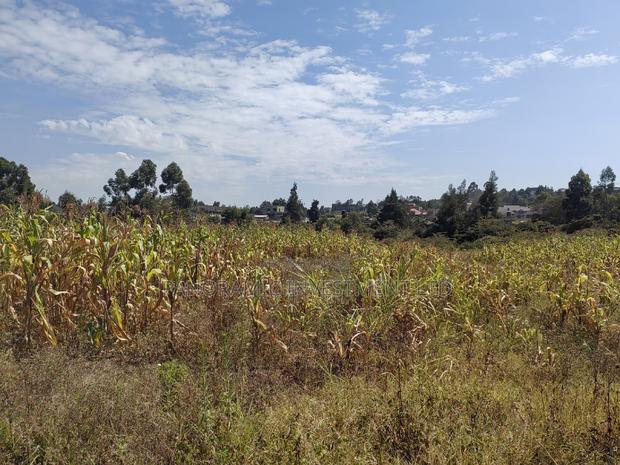 Quarter Acre for Sale in Kamangu Kikuyu Kiambu County. - thumbnail 3