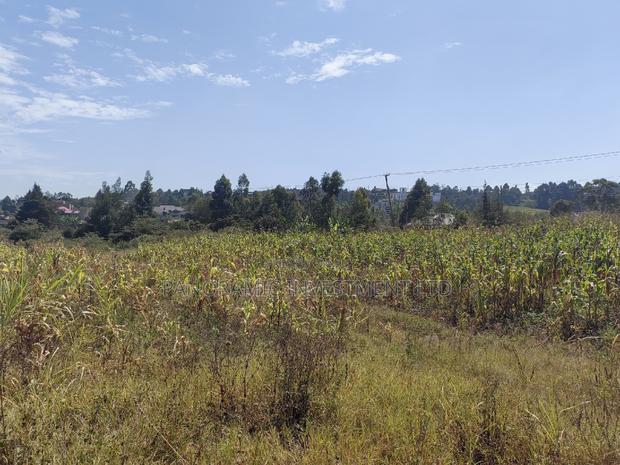 Quarter Acre for Sale in Kamangu Kikuyu Kiambu County. - thumbnail 4