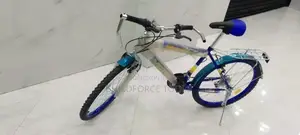 Victory Size 24 Bicycle