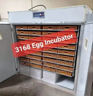 Fully Automatic 3168eggs Incubator