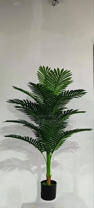 Palm 1.4m in White or Black Vase