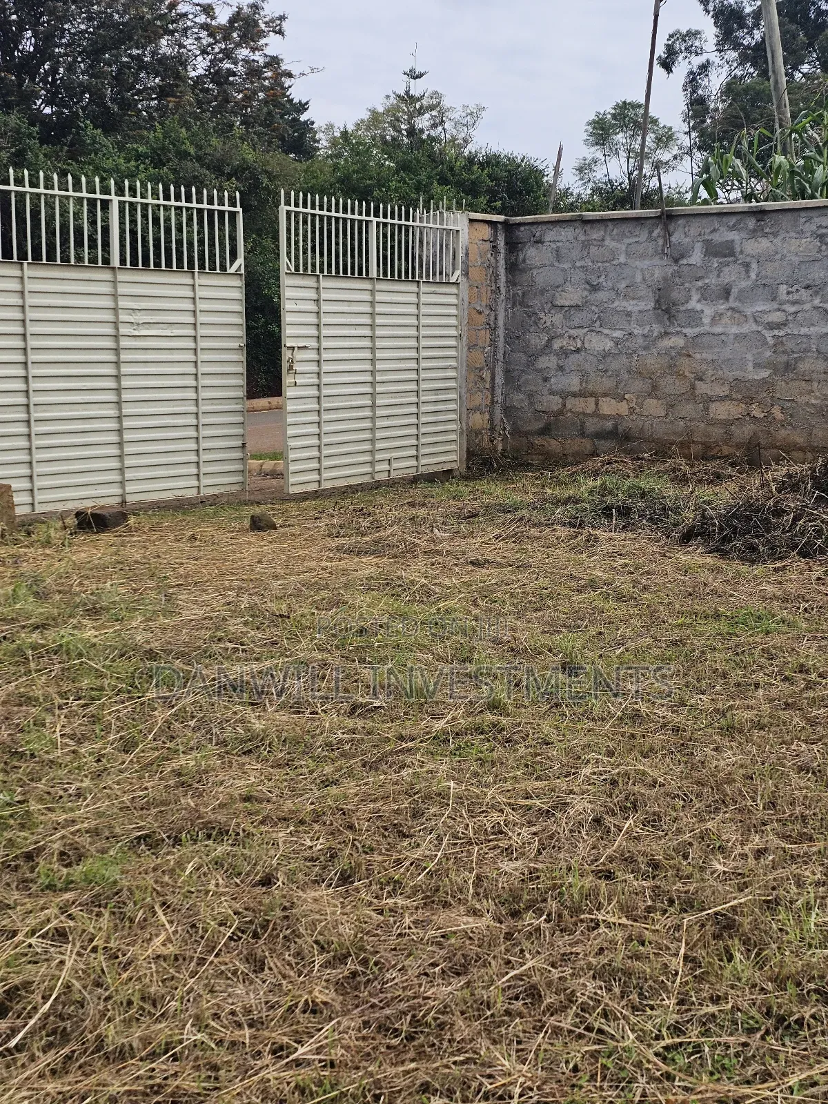 1⁄4 Plots Ideal for Villas Near Rupas Mall