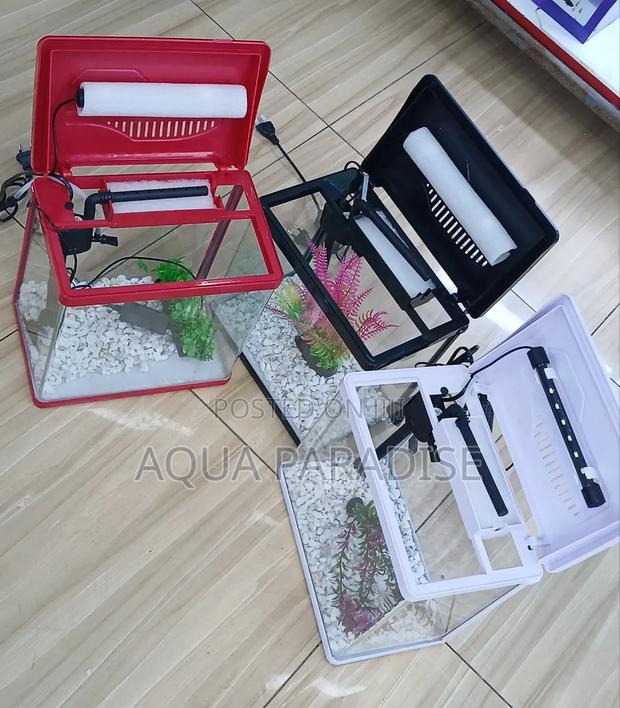 Aquarium Tanks - main view