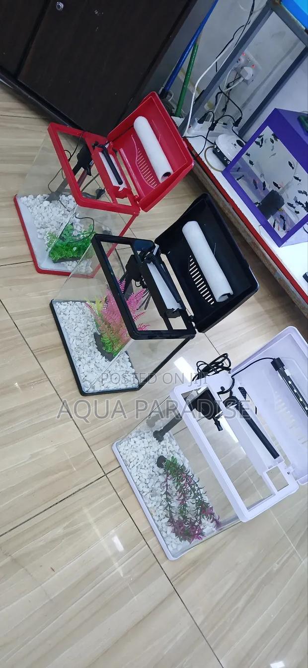 Aquarium Tanks - thumbnail 3