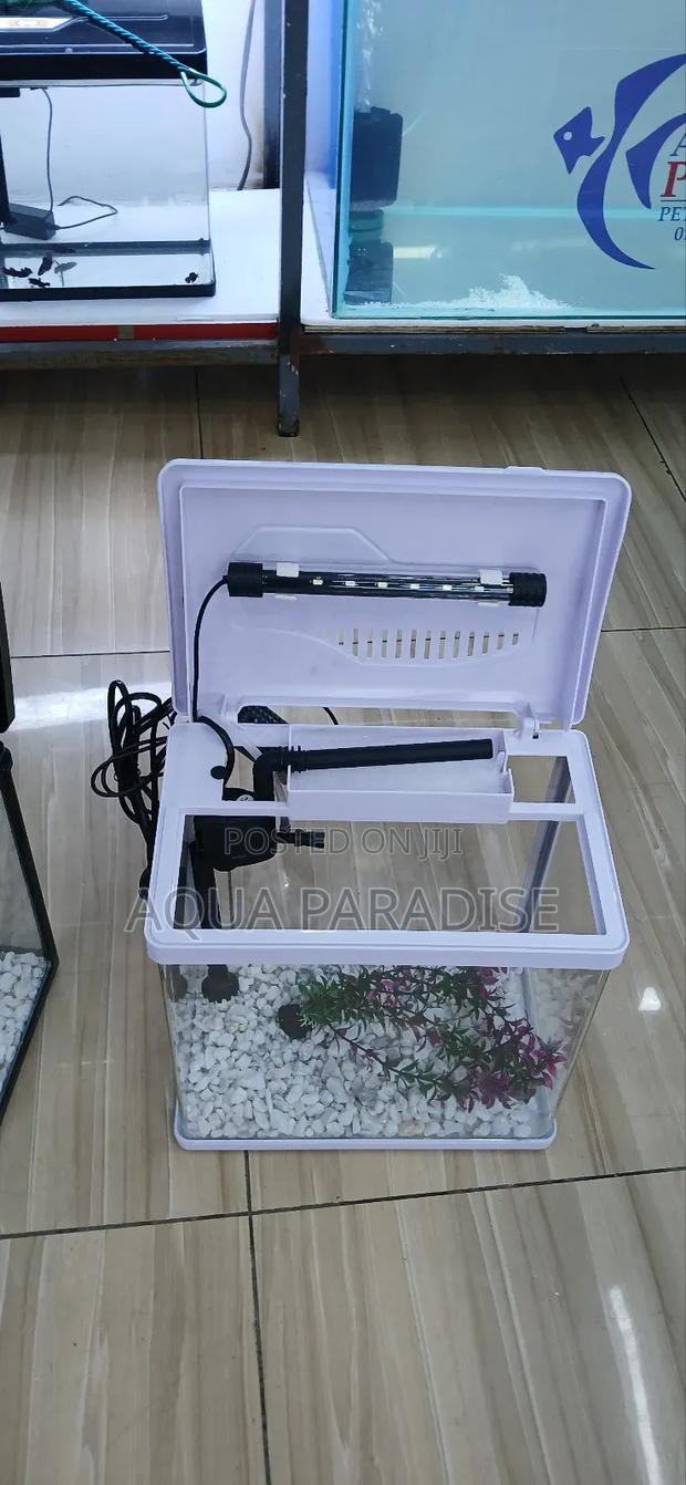 Aquarium Tanks - thumbnail 4