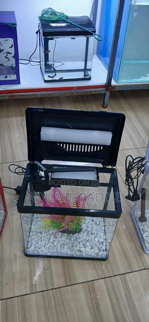 Aquarium Tanks - thumbnail 5