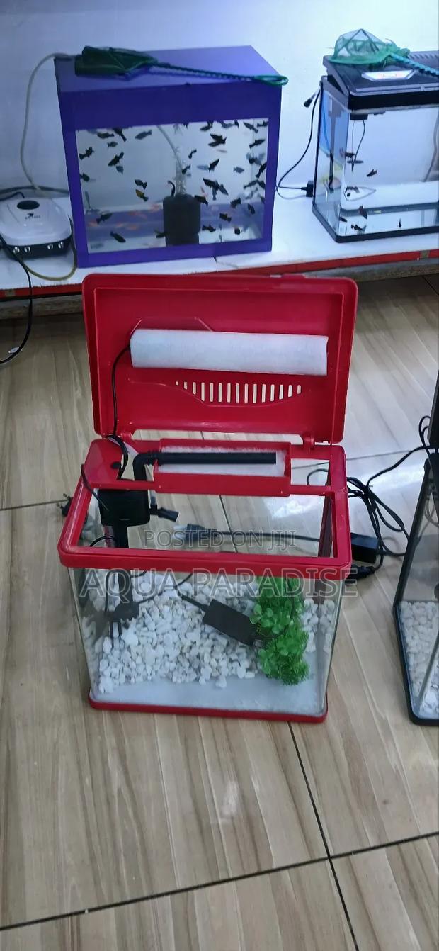 Aquarium Tanks - thumbnail 6