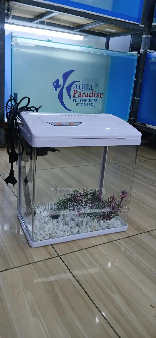 Aquarium Tanks - thumbnail 7