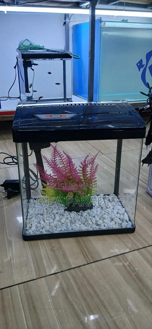 Aquarium Tanks - thumbnail 8