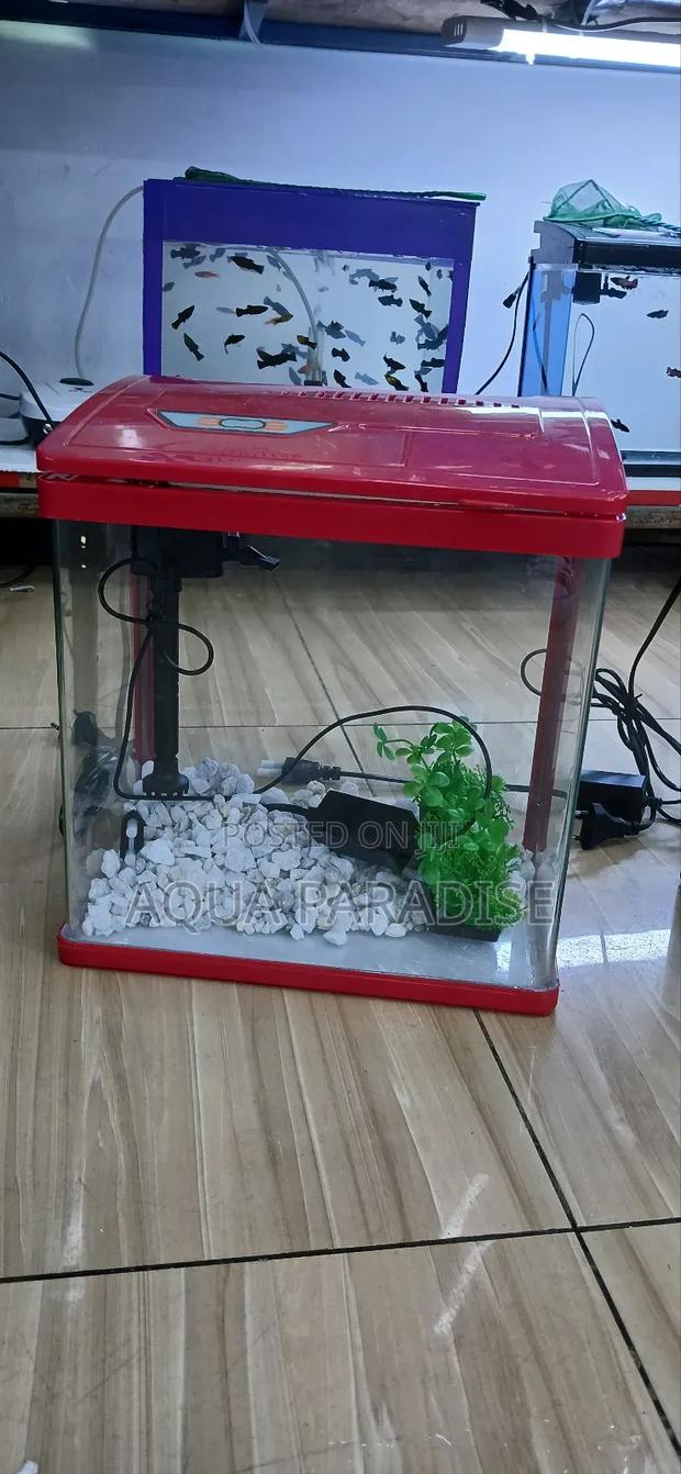 Aquarium Tanks - thumbnail 9