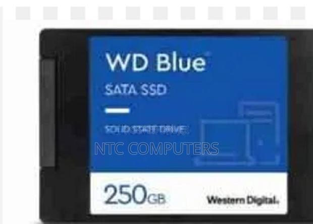 Wd Blue 2.5" Sata Internal SSD 250gb - main view