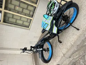 Fat Tire Eco Bike