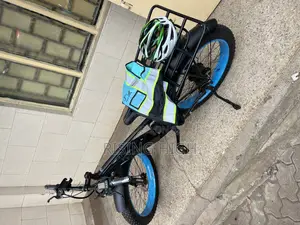 Fat Tire Eco Bike