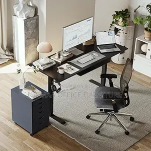 Agilestic Electric Standing Desk With Wooden Drawer