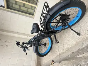 Affordable Reliable Eco Bikes