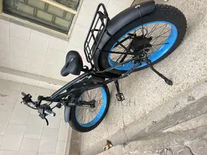 Affordable Reliable Eco Bikes
