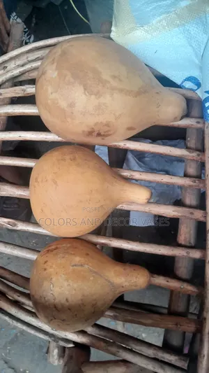 Medium Sizes Calabash Available