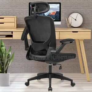 Naspaluro Ergonomic Office Chair