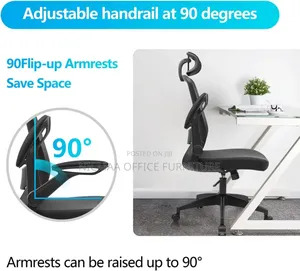 Naspaluro Ergonomic Office Chair