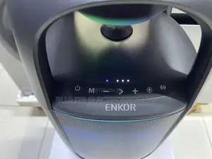 Party Speaker