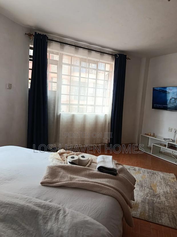 Blue Studio Airbnbin Nairobi Along TRM Drive Roysambu - thumbnail 9