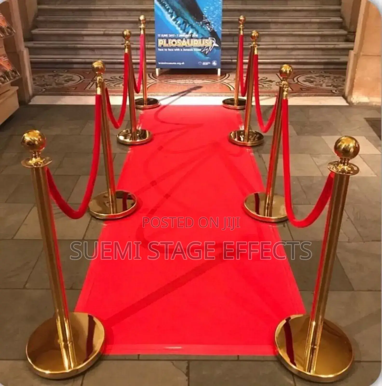 Luxury Executive Stanchions – Vip Event Quality