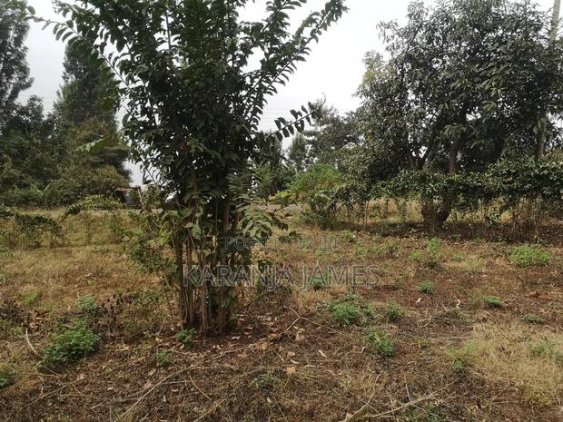 Kenol Kabati Plots for Sale - thumbnail 7