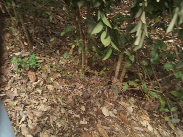 Kenol Kabati Plots for Sale - thumbnail 10