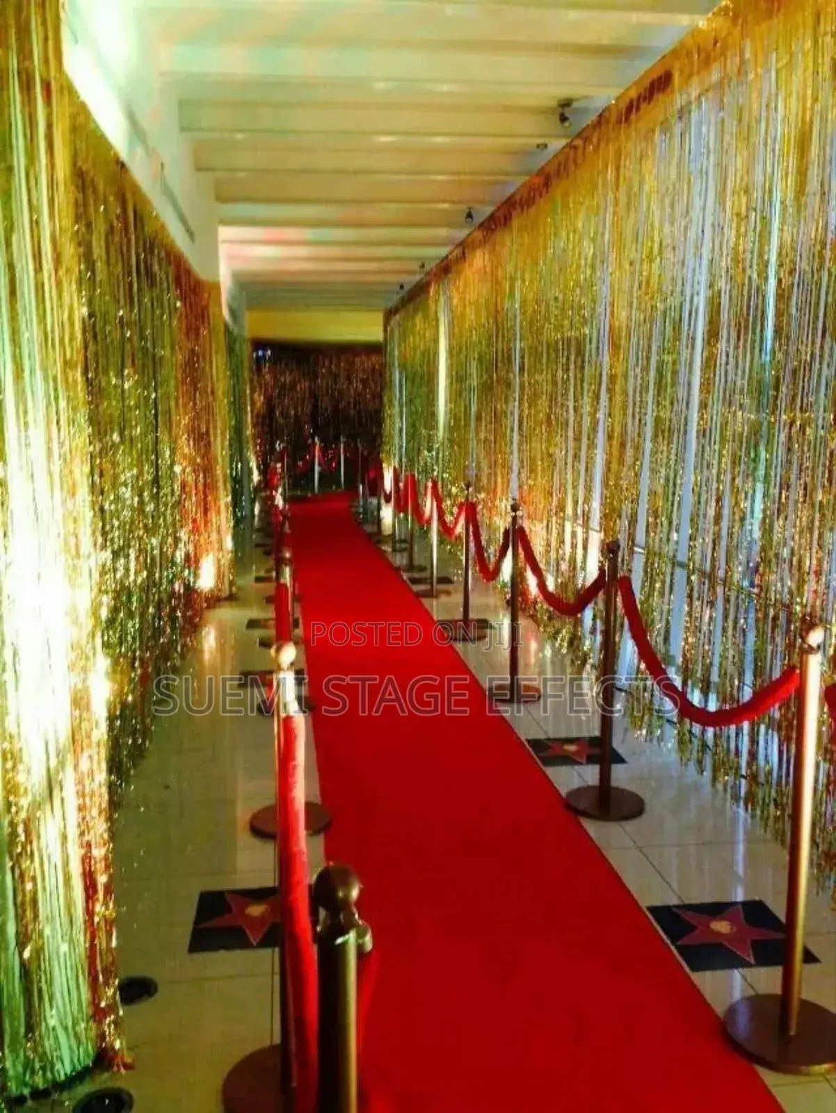 Executive Stanchions for Rent – Vip Look