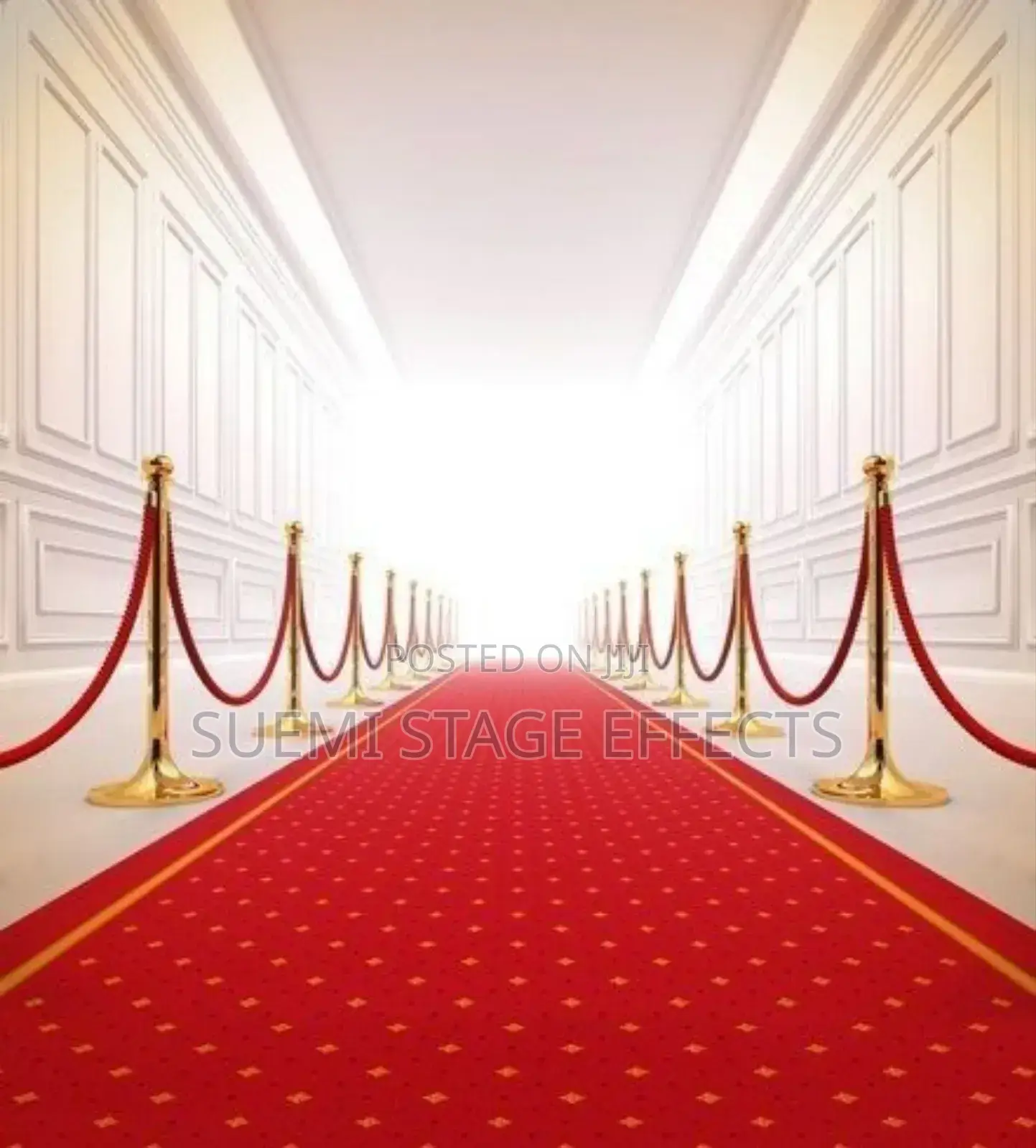Gold Stanchions for Rent – Classy Event Setup