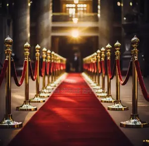 Gold Stanchions for Rent – Classy Event Setup