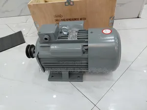 5hp Stcl Italy Single Phase Motor Comes With Pulley