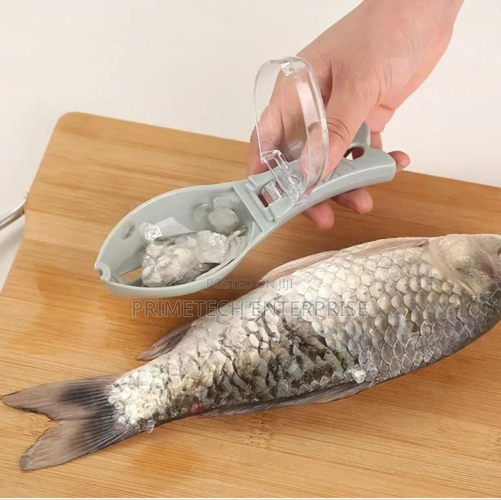 Fish Scales Remover