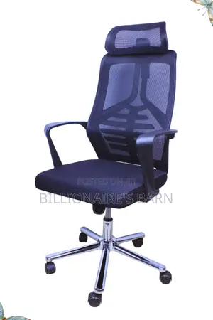 Office; Pro, Premium Mesh Ergo Chair With Lumbar Support