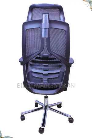 Office; Pro, Premium Mesh Ergo Chair With Lumbar Support
