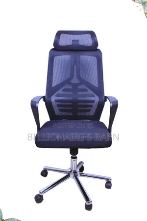 Office; Pro, Premium Mesh Ergo Chair With Lumbar Support