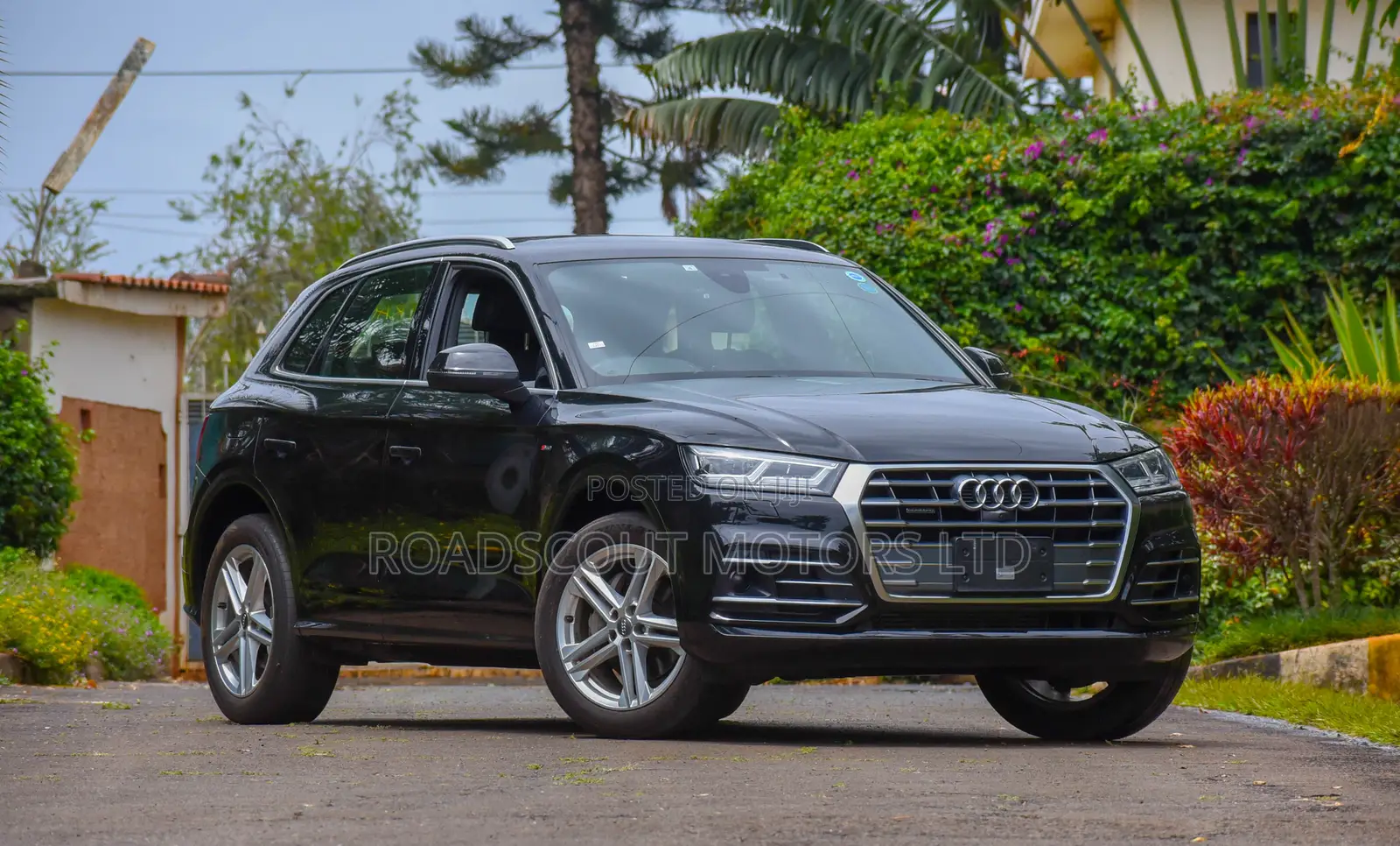 Audi Q5 2.0T Premium AWD quattro 2019 Black